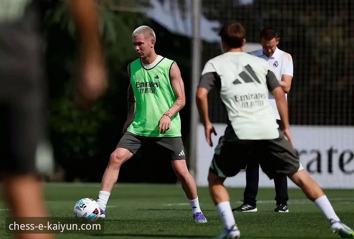 天才的陨落与战术的博弈：帕尼切利伤退与阿根廷世界杯前景的深度对比